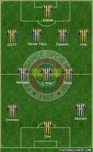 Fenerbahçe SK Formation 2013