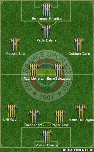 Fenerbahçe SK Formation 2013