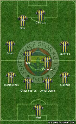 Fenerbahçe SK Formation 2013