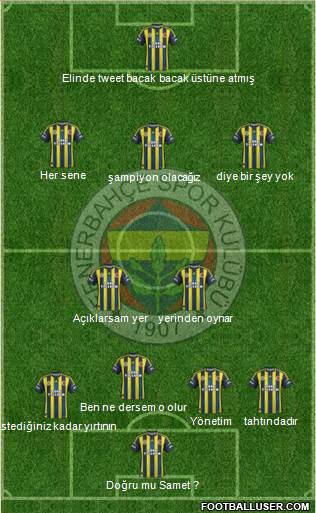 Fenerbahçe SK Formation 2013