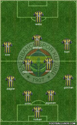 Fenerbahçe SK Formation 2013
