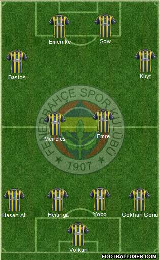Fenerbahçe SK Formation 2013