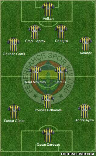 Fenerbahçe SK Formation 2013