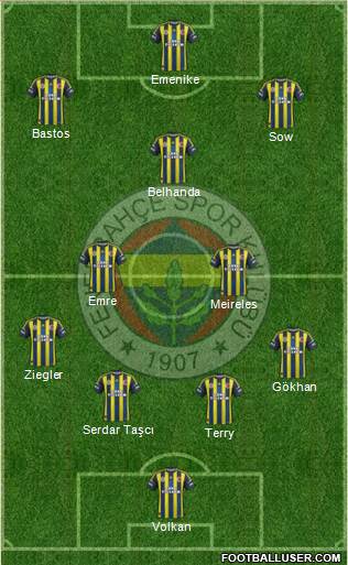 Fenerbahçe SK Formation 2013