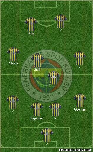 Fenerbahçe SK Formation 2013