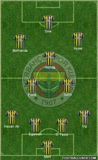 Fenerbahçe SK Formation 2013