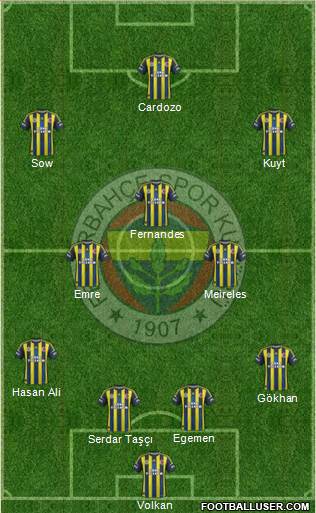 Fenerbahçe SK Formation 2013