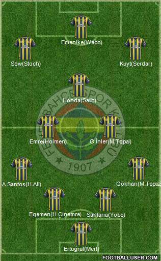 Fenerbahçe SK Formation 2013