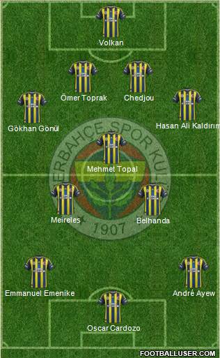 Fenerbahçe SK Formation 2013