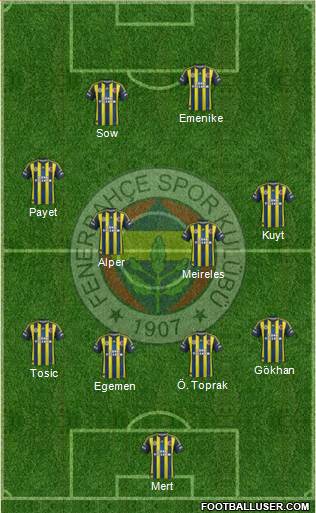 Fenerbahçe SK Formation 2013