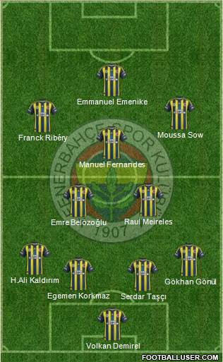 Fenerbahçe SK Formation 2013