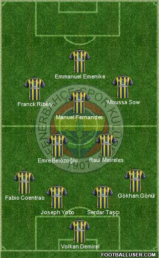 Fenerbahçe SK Formation 2013