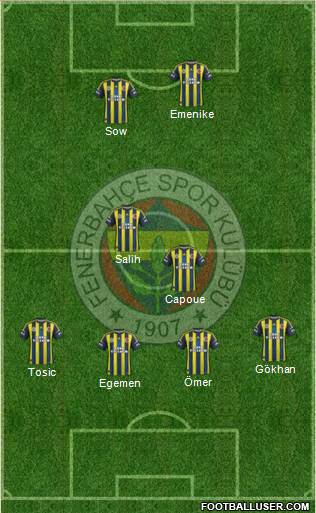 Fenerbahçe SK Formation 2013