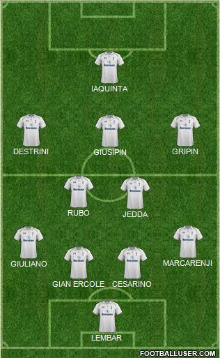 Tottenham Hotspur Formation 2013