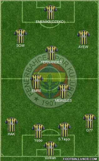 Fenerbahçe SK Formation 2013