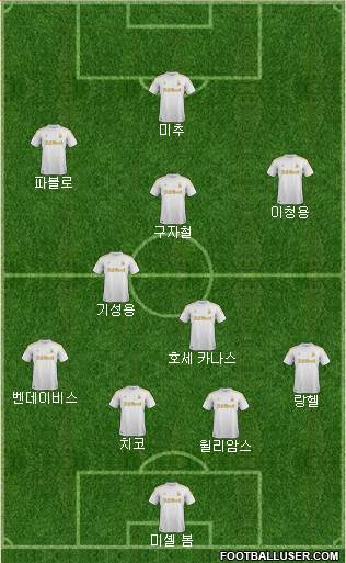 Swansea City Formation 2013