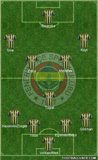 Fenerbahçe SK Formation 2013