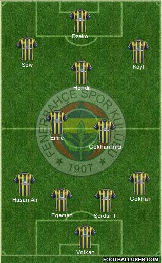 Fenerbahçe SK Formation 2013
