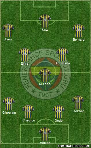 Fenerbahçe SK Formation 2013