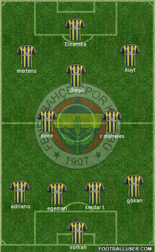Fenerbahçe SK Formation 2013