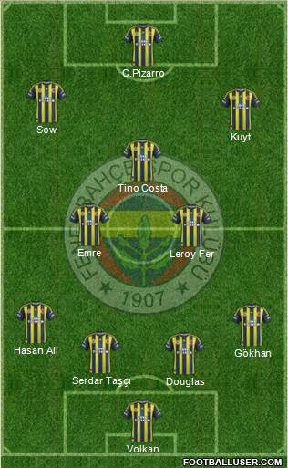 Fenerbahçe SK Formation 2013