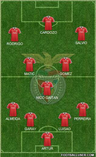 Sport Lisboa e Benfica - SAD Formation 2013