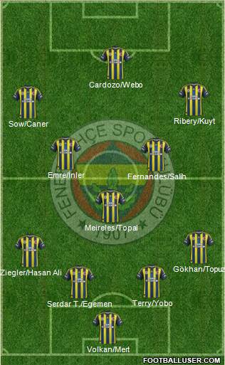 Fenerbahçe SK Formation 2013