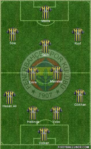 Fenerbahçe SK Formation 2013