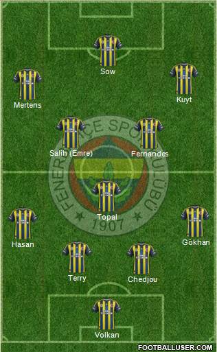 Fenerbahçe SK Formation 2013