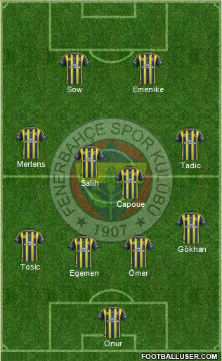 Fenerbahçe SK Formation 2013