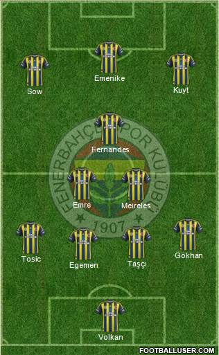 Fenerbahçe SK Formation 2013