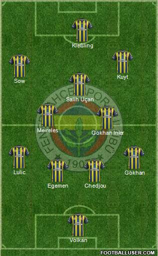 Fenerbahçe SK Formation 2013