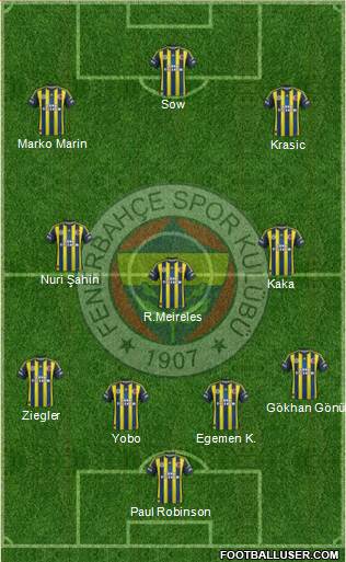 Fenerbahçe SK Formation 2013