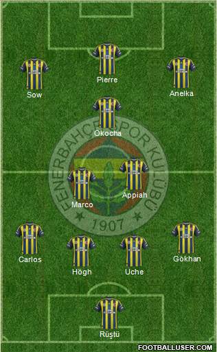 Fenerbahçe SK Formation 2013