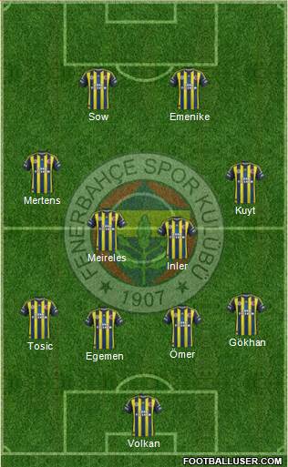 Fenerbahçe SK Formation 2013