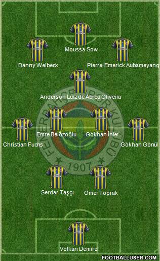 Fenerbahçe SK Formation 2013