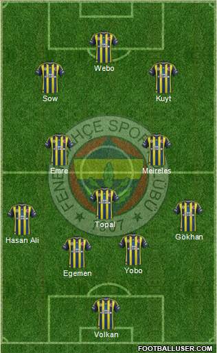 Fenerbahçe SK Formation 2013