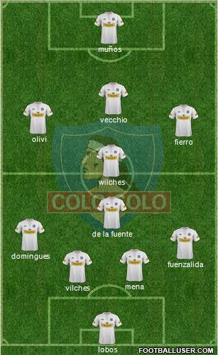 CSD Colo Colo Formation 2013