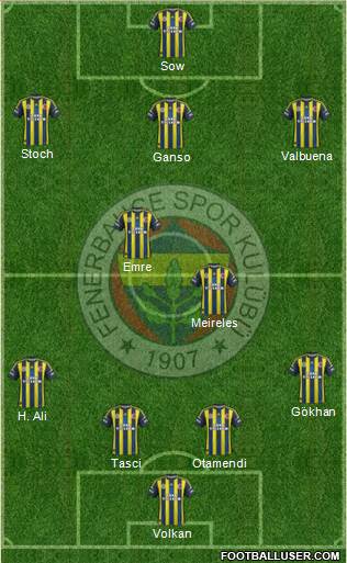 Fenerbahçe SK Formation 2013