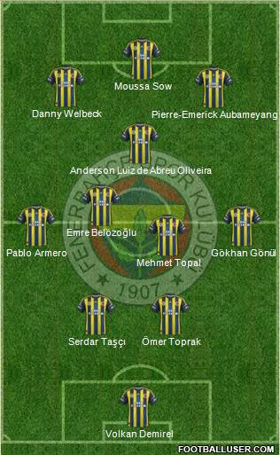 Fenerbahçe SK Formation 2013