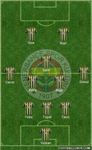 Fenerbahçe SK Formation 2013