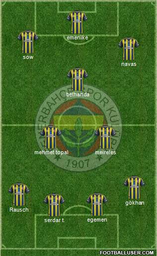 Fenerbahçe SK Formation 2013