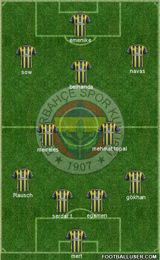 Fenerbahçe SK Formation 2013
