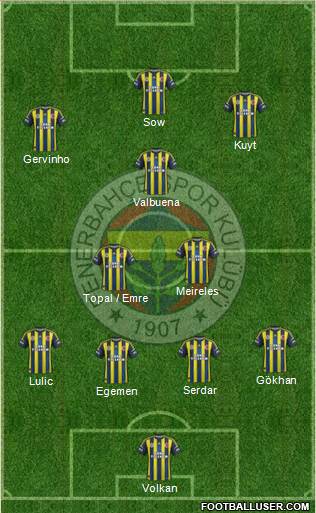 Fenerbahçe SK Formation 2013