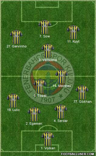 Fenerbahçe SK Formation 2013