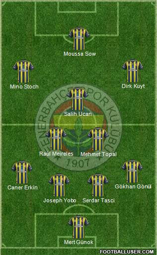 Fenerbahçe SK Formation 2013