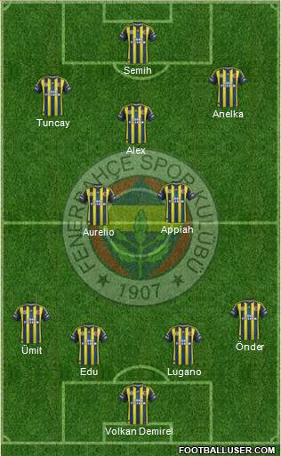 Fenerbahçe SK Formation 2013