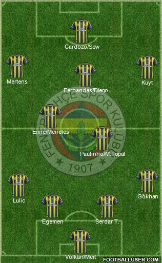 Fenerbahçe SK Formation 2013
