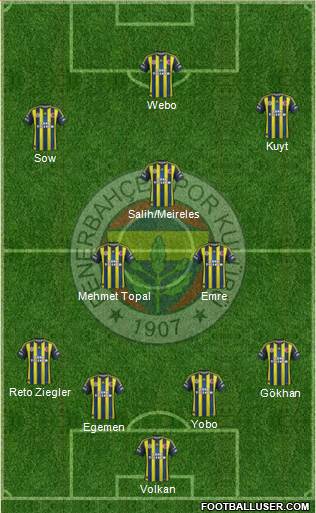 Fenerbahçe SK Formation 2013