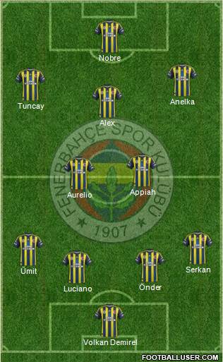 Fenerbahçe SK Formation 2013